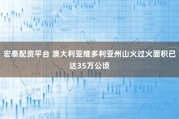 宏泰配资平台 澳大利亚维多利亚州山火过火面积已达35万公顷