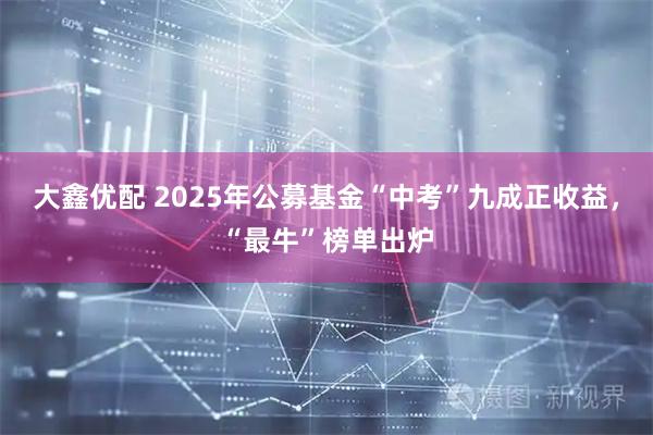 大鑫优配 2025年公募基金“中考”九成正收益，“最牛”榜单出炉