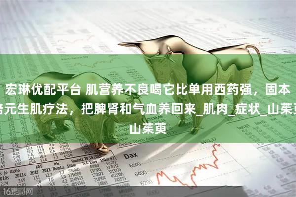 宏琳优配平台 肌营养不良喝它比单用西药强，固本培元生肌疗法，把脾肾和气血养回来_肌肉_症状_山茱萸