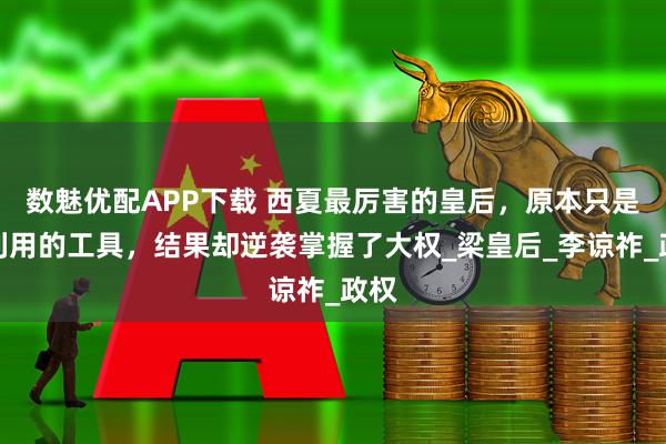 数魅优配APP下载 西夏最厉害的皇后，原本只是被利用的工具，结果却逆袭掌握了大权_梁皇后_李谅祚_政权