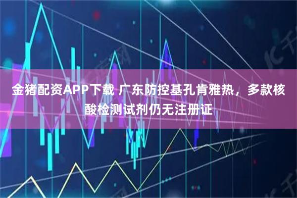 金猪配资APP下载 广东防控基孔肯雅热,多款核酸检测试剂仍无注册证