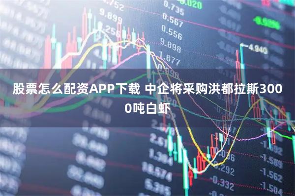 股票怎么配资APP下载 中企将采购洪都拉斯3000吨白虾
