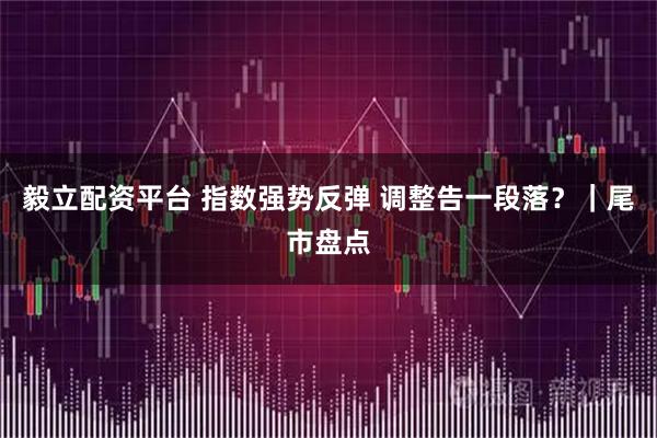 毅立配资平台 指数强势反弹 调整告一段落？｜尾市盘点